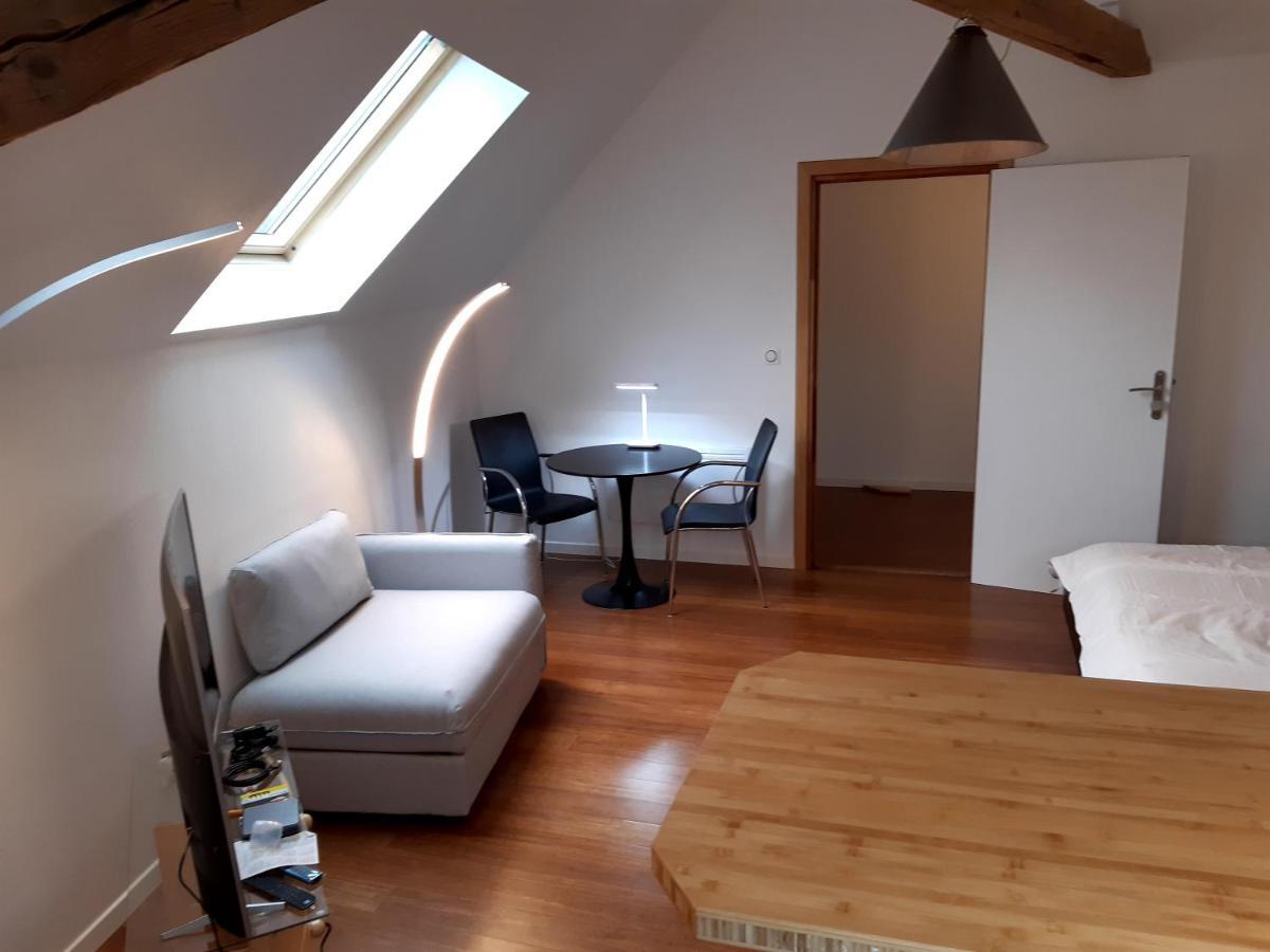 Loft Studio Avec Charme Et Authenticite アルトキルシュ エクステリア 写真