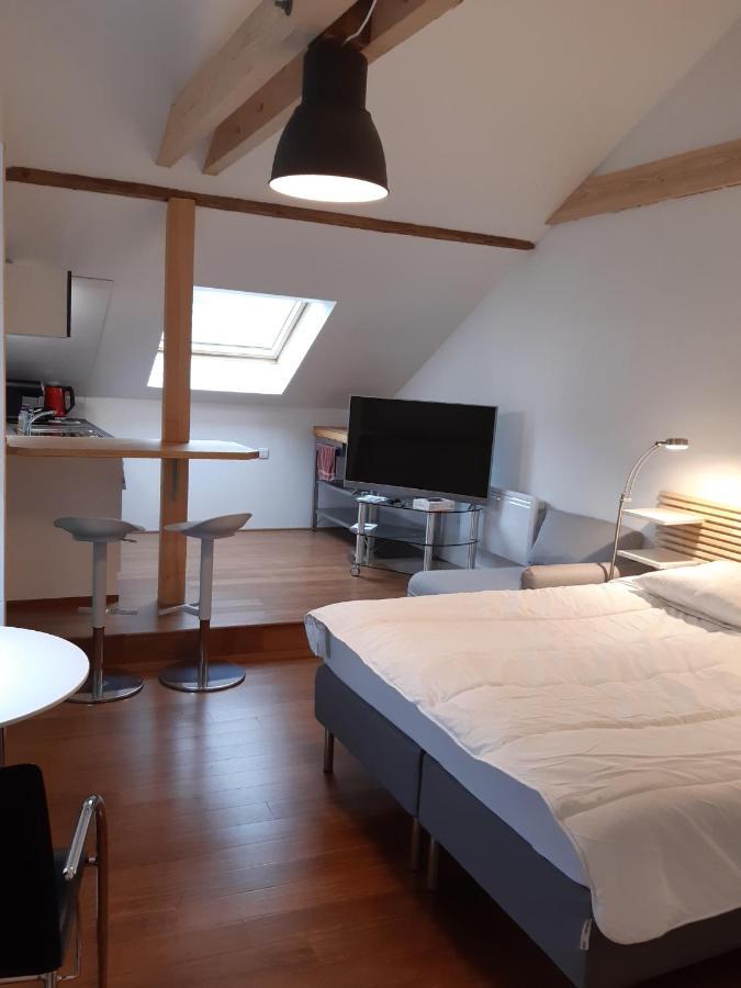 Loft Studio Avec Charme Et Authenticite アルトキルシュ エクステリア 写真
